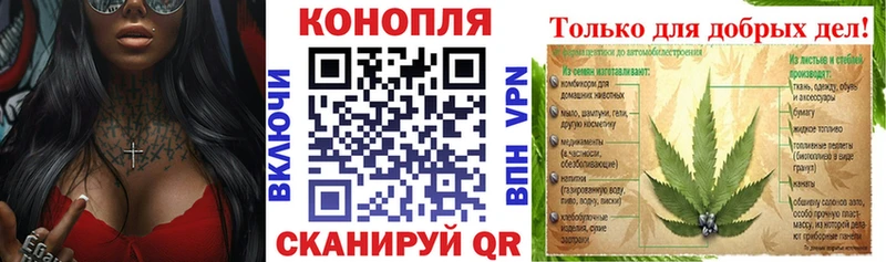 Каннабис LSD WEED  Купить закладки  Пионерский 